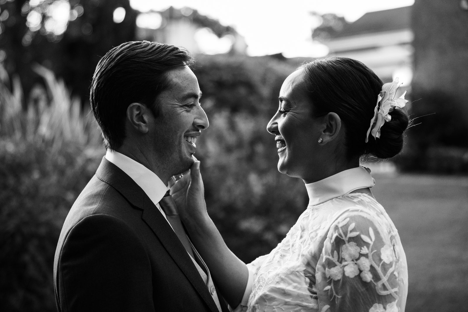 Novios 27